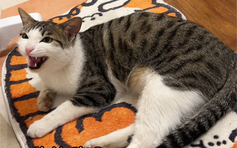 鎴戠鐫鐡滃瓙鍚潃闊充箰鐜╃潃鎵嬫満锛岀墰鍙夊弶鐪嬩笉涓嬪幓