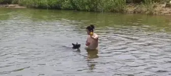 Скачать видео: 水中遛狗