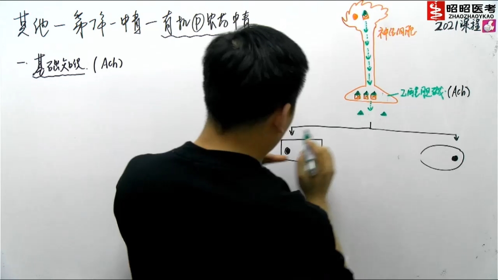 中毒总论——表现及原则哔哩哔哩bilibili