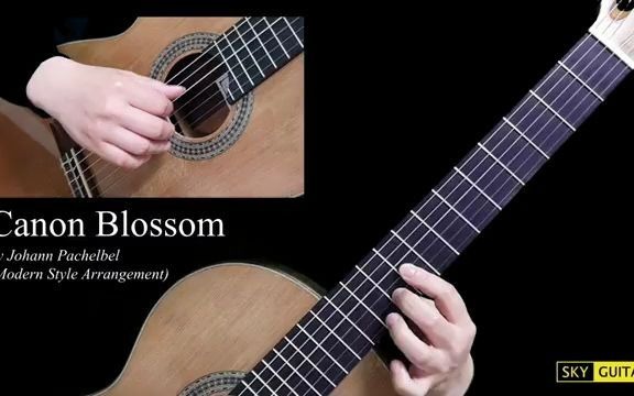 [图]Canon Blossom | Sky Guitar