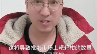 Download Video: 受冻雨暴雪影响堵在路上的耙耙柑陆续到货了，未来几天市场上耙耙柑是涨是跌不太好说。#水果代卖#耙耙柑#春见耙耙柑 #新鲜应季水果