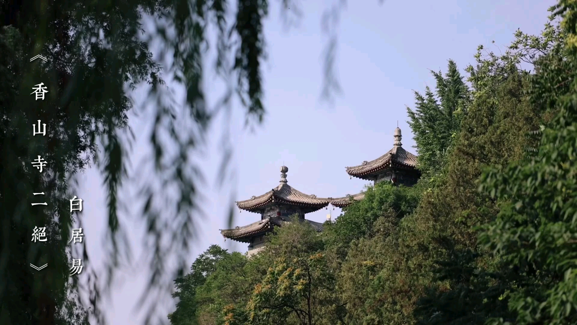 【龙门石窟|诗】 “龙门凡十寺,第一数香山”,香山寺距今已有1400多年历史,带你走近#白居易 眼中的#龙门石窟香山寺哔哩哔哩bilibili