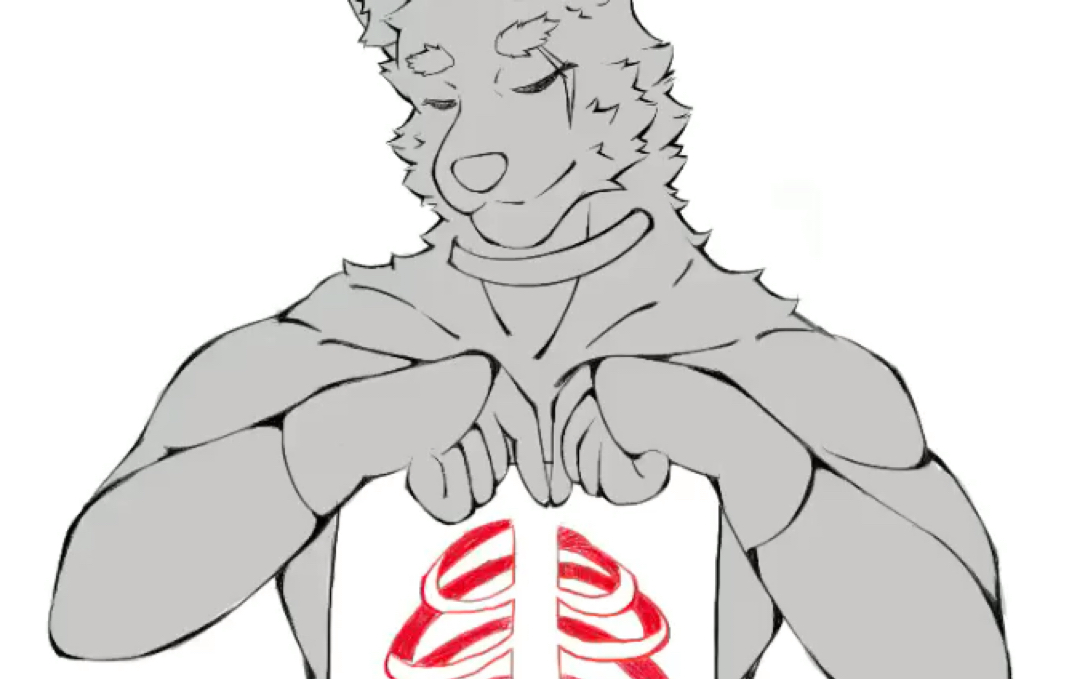 【儿童画furry选手】乙 狼 解 剖