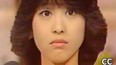 昭和アイドルレコード 本田美奈子　中森明菜　レベッカ　小泉今日子 昭和アイドルレコード 本田美奈子 中森明菜 レベッカ 小泉今日子