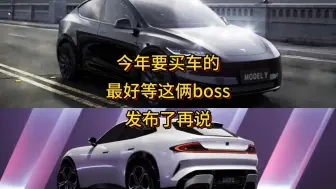 Download Video: 今年要买车的朋友最好等这俩boss发布了再说