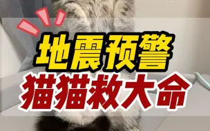 Download Video: 地震前猫咪反常行为，关键时刻能救命！