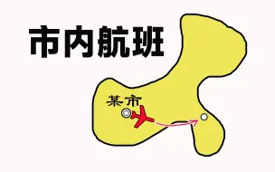 Download Video: 市内航班有哪些？