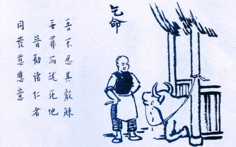 护生画集有声书(全六集),中国漫画之父丰子恺先生作画,弘一大师李叔同题诗哔哩哔哩bilibili