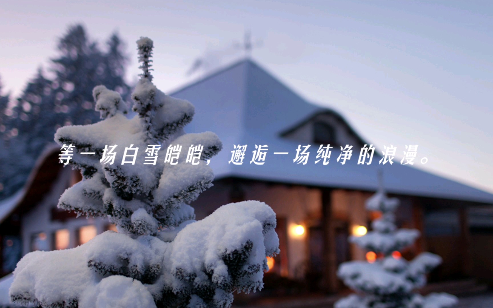 关于雪的绝美文案(二)哔哩哔哩bilibili