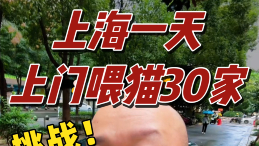 上门喂猫30家，到底多赚钱。