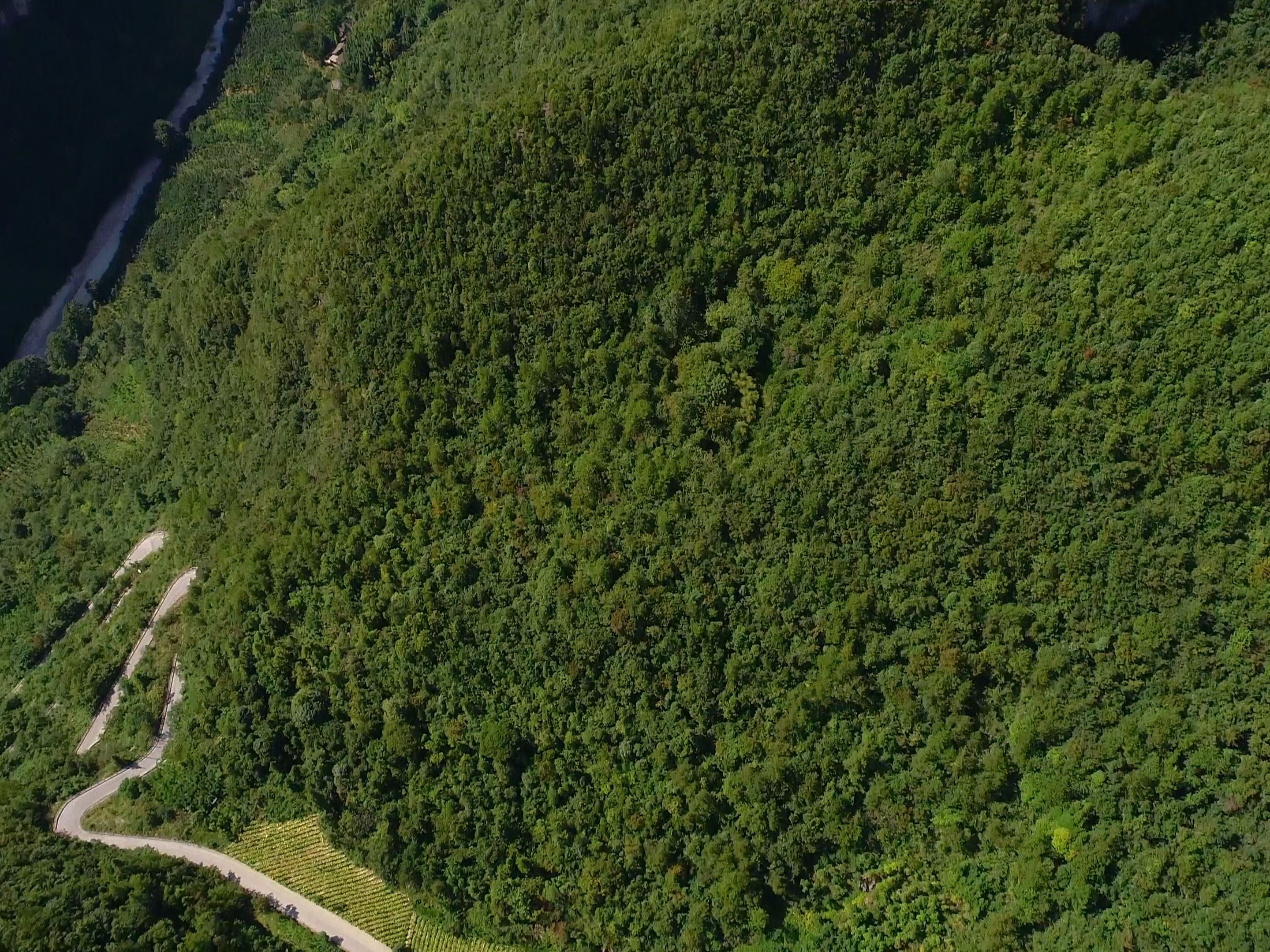 找天坑207 峡谷边的坑,湖北恩施利川市到重庆奉节县途中