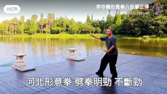 Download Video: 河北形意拳~劈拳~勁不斷 氣不斷 意不斷