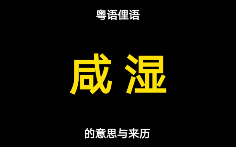 粤语俚语“咸湿”的来历有四种说法,你知道的是哪一种呢?哔哩哔哩bilibili