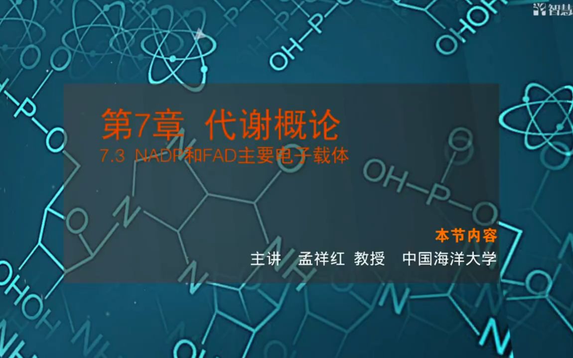 【中国海洋大学 生物化学】7.3NADP和FDA主要电子载体哔哩哔哩bilibili