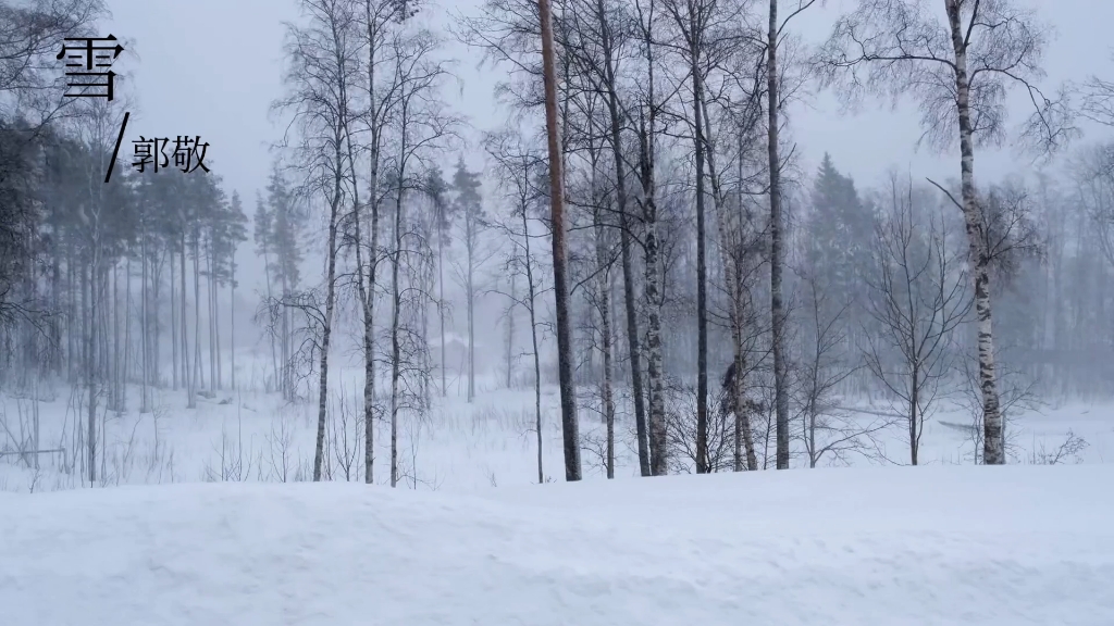 关于雪的歌曲 B站