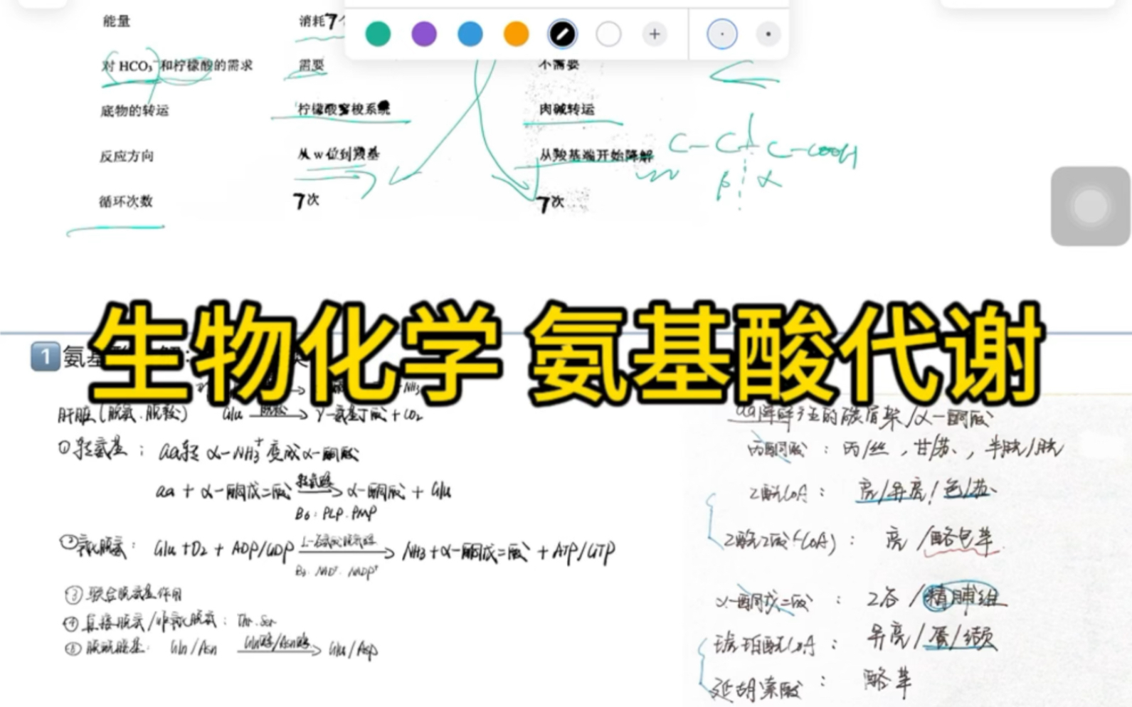 [图]414植物生理学与生物化学带背 生物化学氨基酸代谢