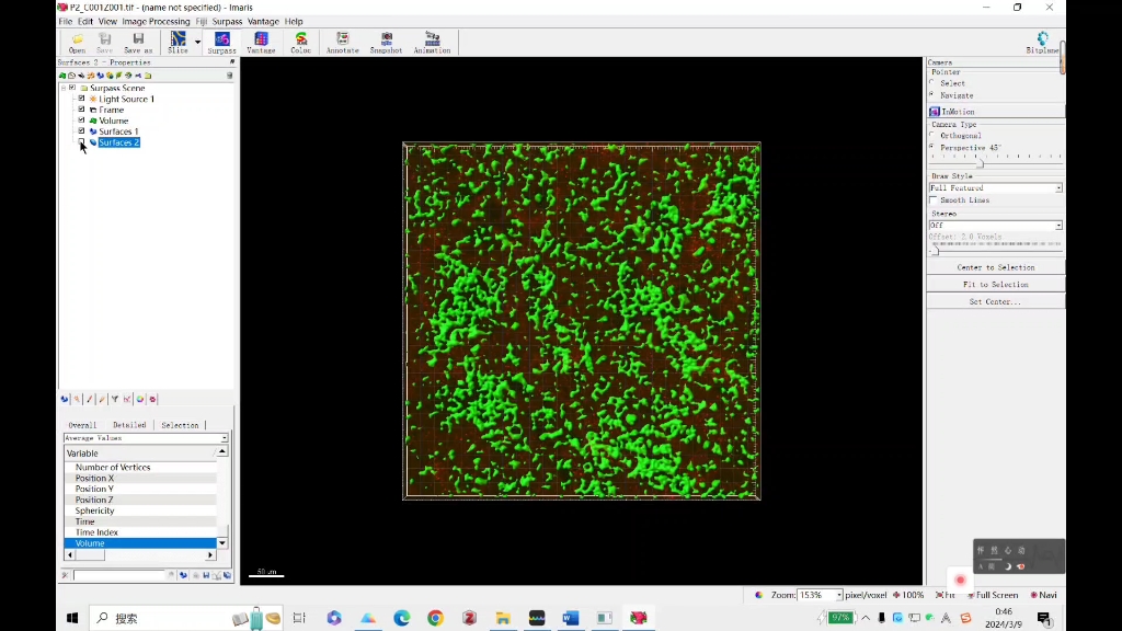 【Imaris】拟合细菌活死染色生物膜的操作视频,录屏仅供自己学习使用哔哩哔哩bilibili