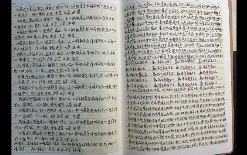 初中生罚抄现状