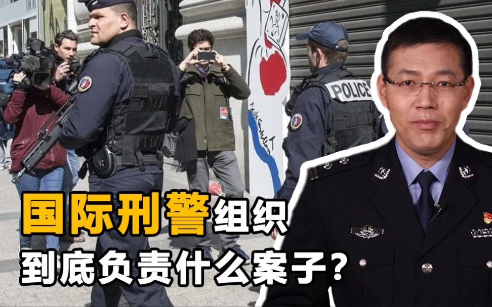 [图]国际刑警是一个什么组织？竟不一定是刑警?