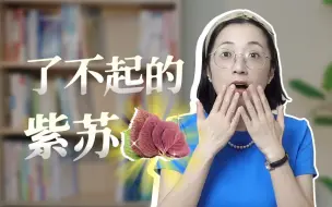 Download Video: 紫苏的那些事儿：谁能想到它这么有料？