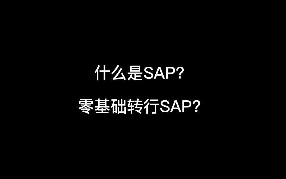 什么是SAP?零基础转行SAP?哔哩哔哩bilibili