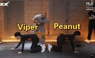 Peanut和Viper的拉力带对抗