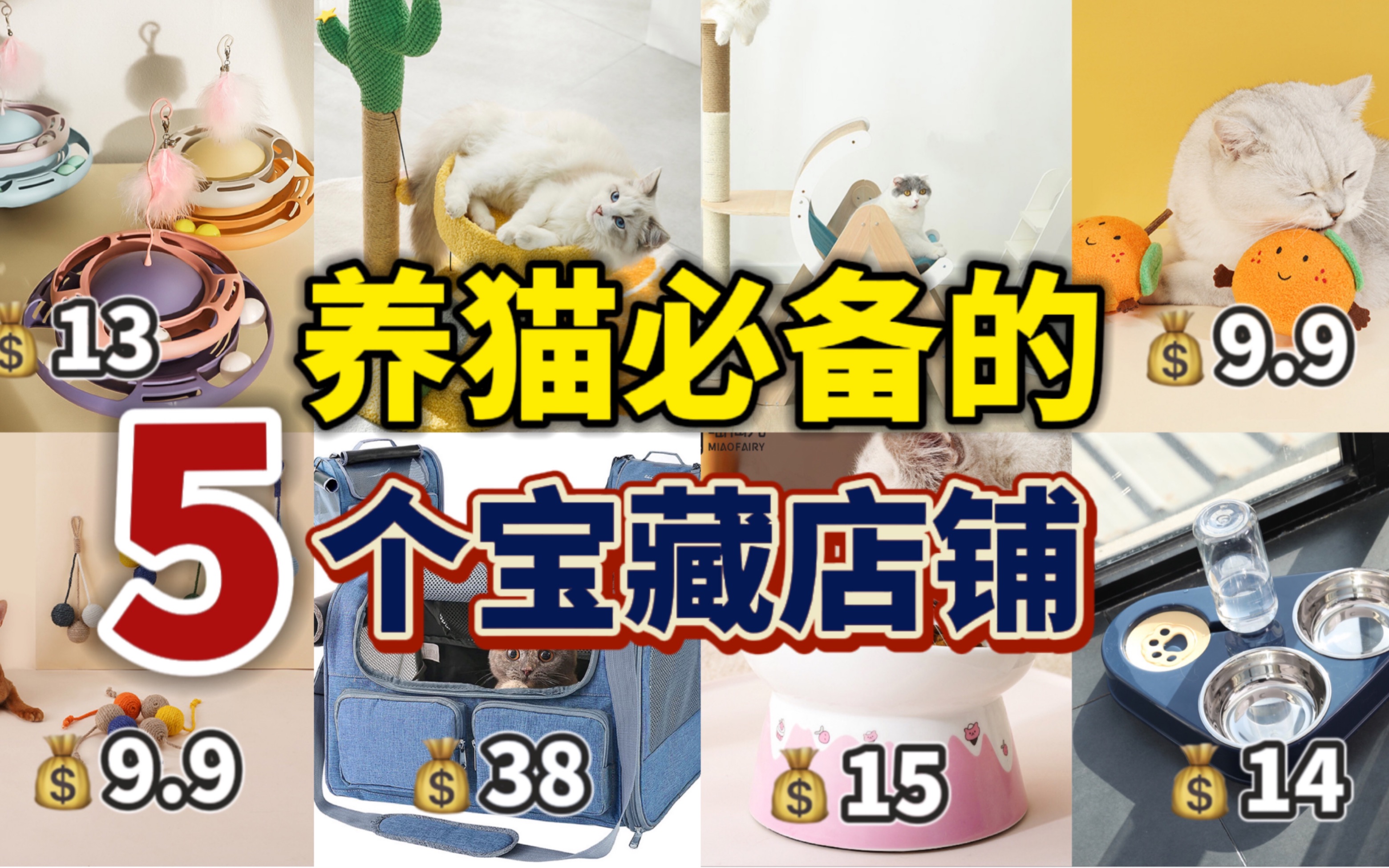 新手养猫必备的5家宝藏店铺!闭眼入!省钱!哔哩哔哩bilibili