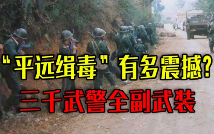 1992年围剿平远,出动三千多名武警,“平远缉毒”究竟有多震撼?哔哩哔哩bilibili