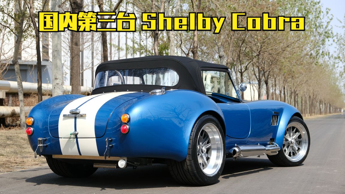 597期 | 国内第三台 Shelby Cobra谢尔比眼镜蛇哔哩哔哩bilibili