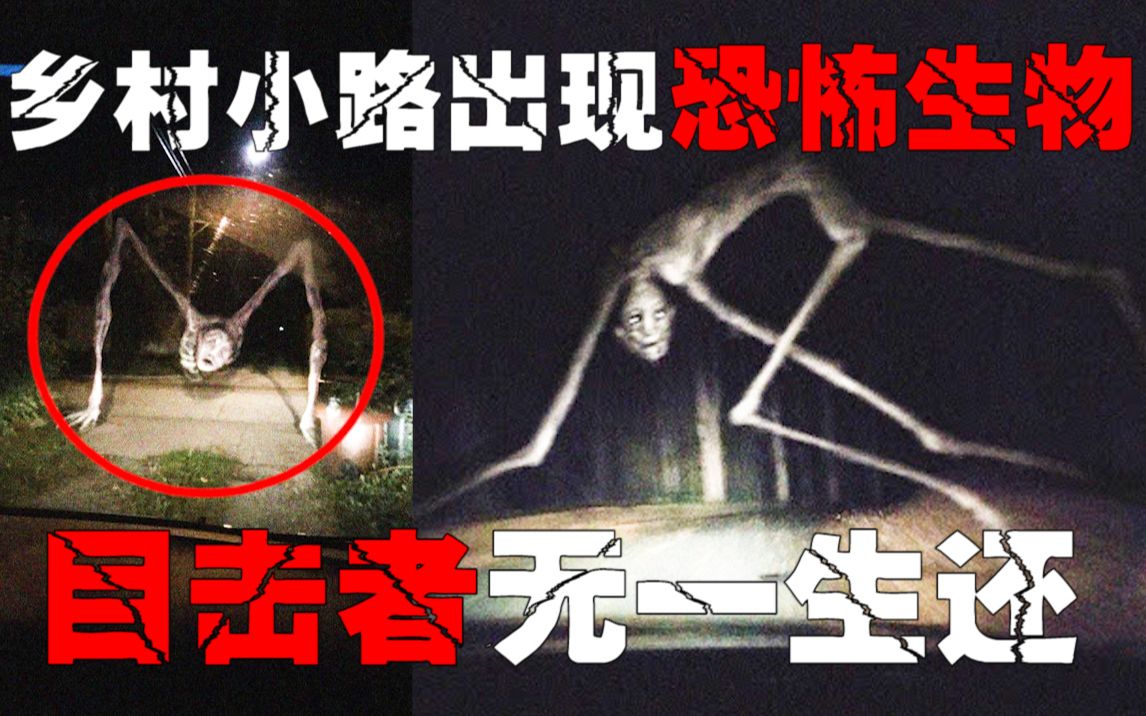 [图]【恐怖瘦长生物】千万不要遇到！你跑的过它吗？加拿大乡村出现神秘生物困扰许多人!多人目击