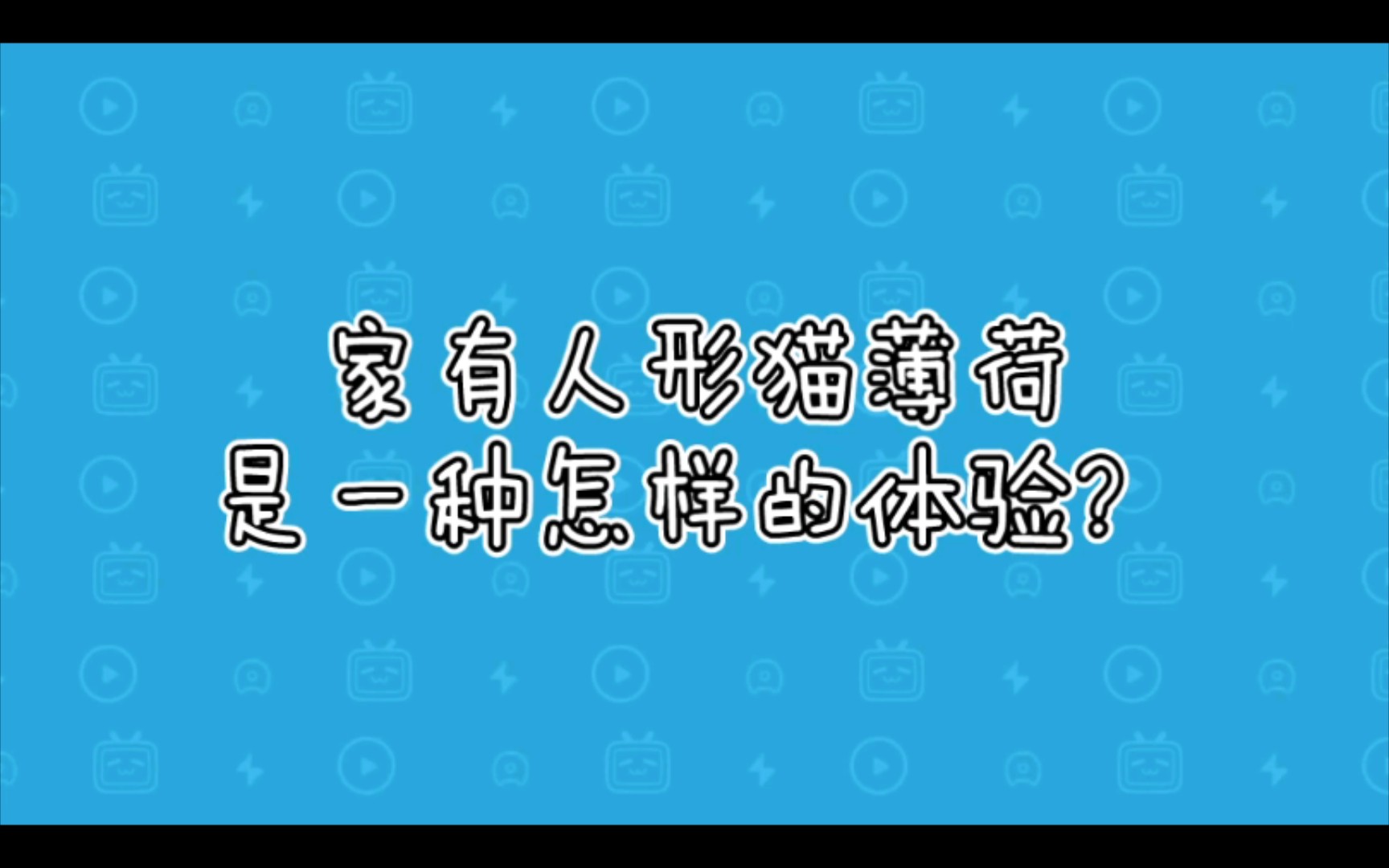 家有人形猫薄荷是怎样的体验哔哩哔哩bilibili