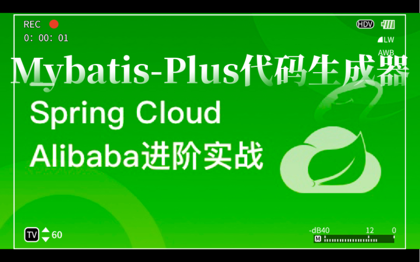 SpringCloudAlibaba整合MybatisPlus代码生成器集成微服务项目哔哩哔哩bilibili