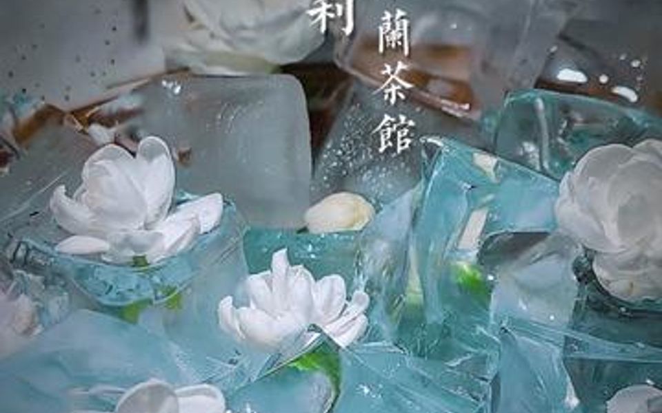 冰镇新鲜茉莉花绿茶哔哩哔哩bilibili