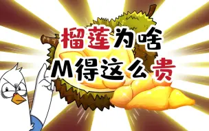 Download Video: 【小魔】为什么榴莲这么贵？