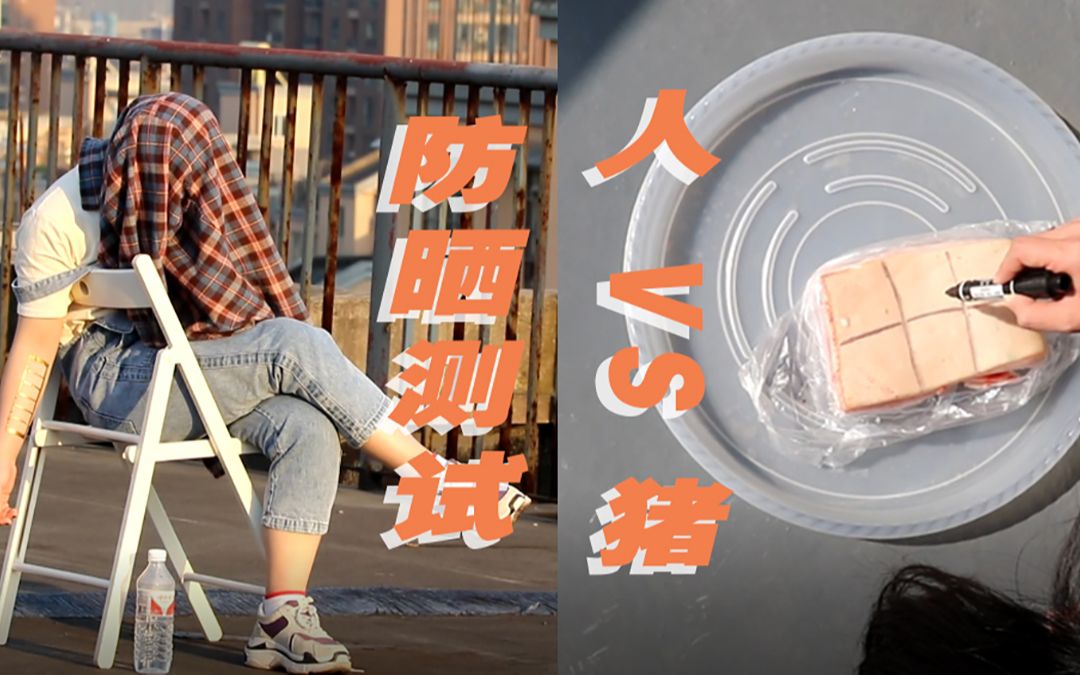 一死一伤,人肉vs猪肉!