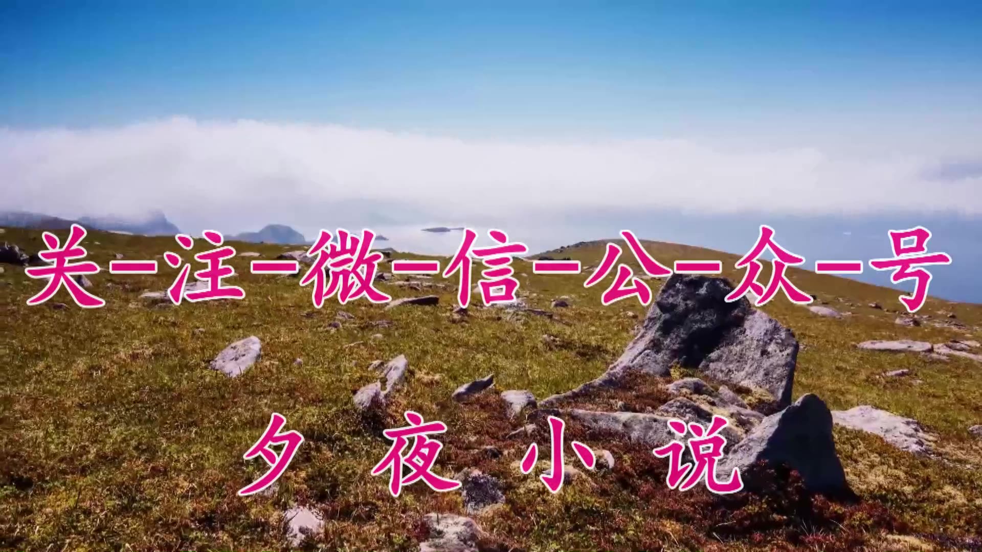 最佳女婿林羽江颜小说最佳女婿小说在线阅读