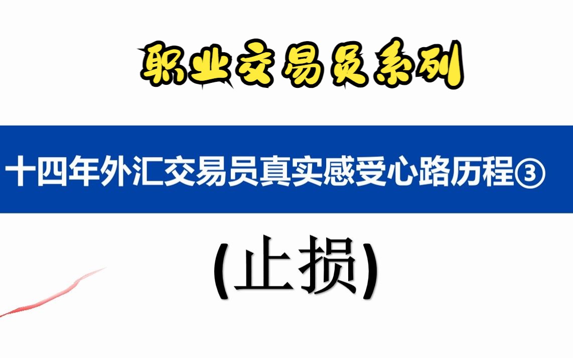 十四年外汇交易员真实感受内心历程(三))哔哩哔哩bilibili