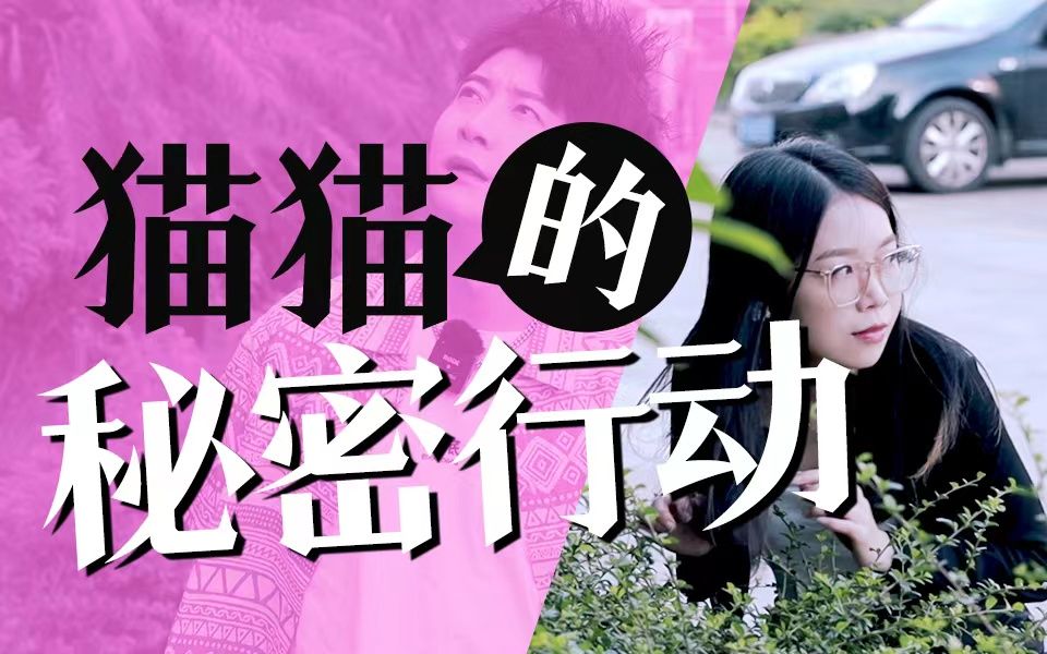 广东女生的购买欲有多强?哔哩哔哩bilibili