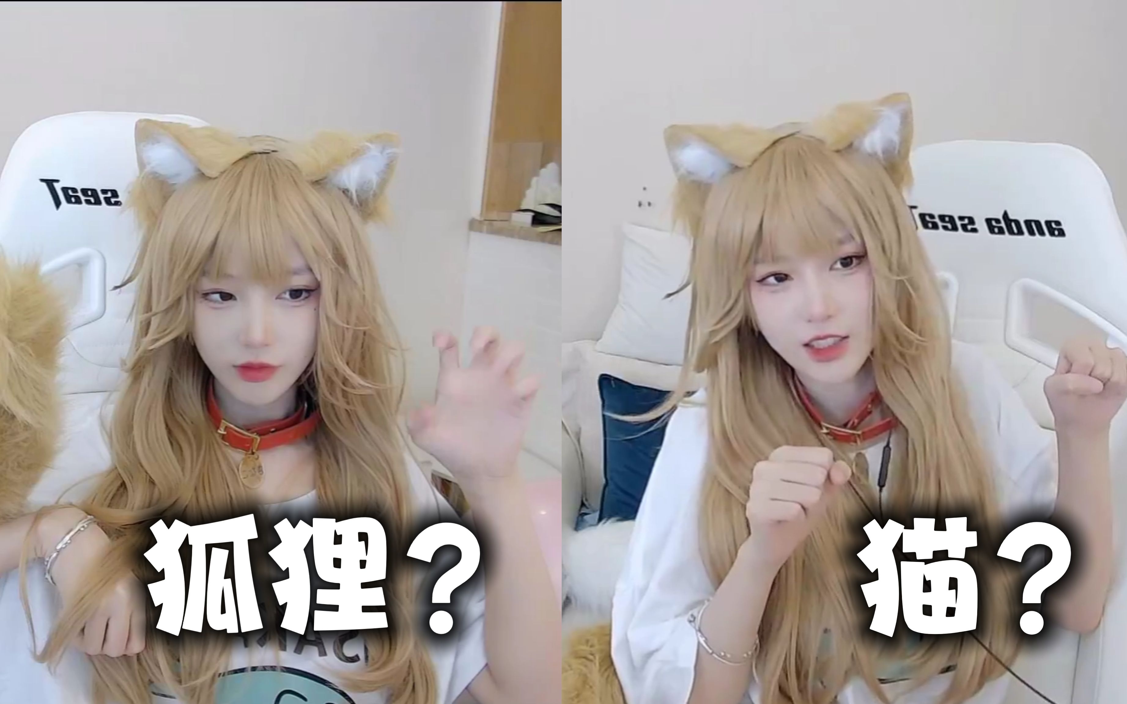 【艾琳】黄豆粉猫娘cos,《我家猫猫是可爱的女孩子》哔哩哔哩bilibili