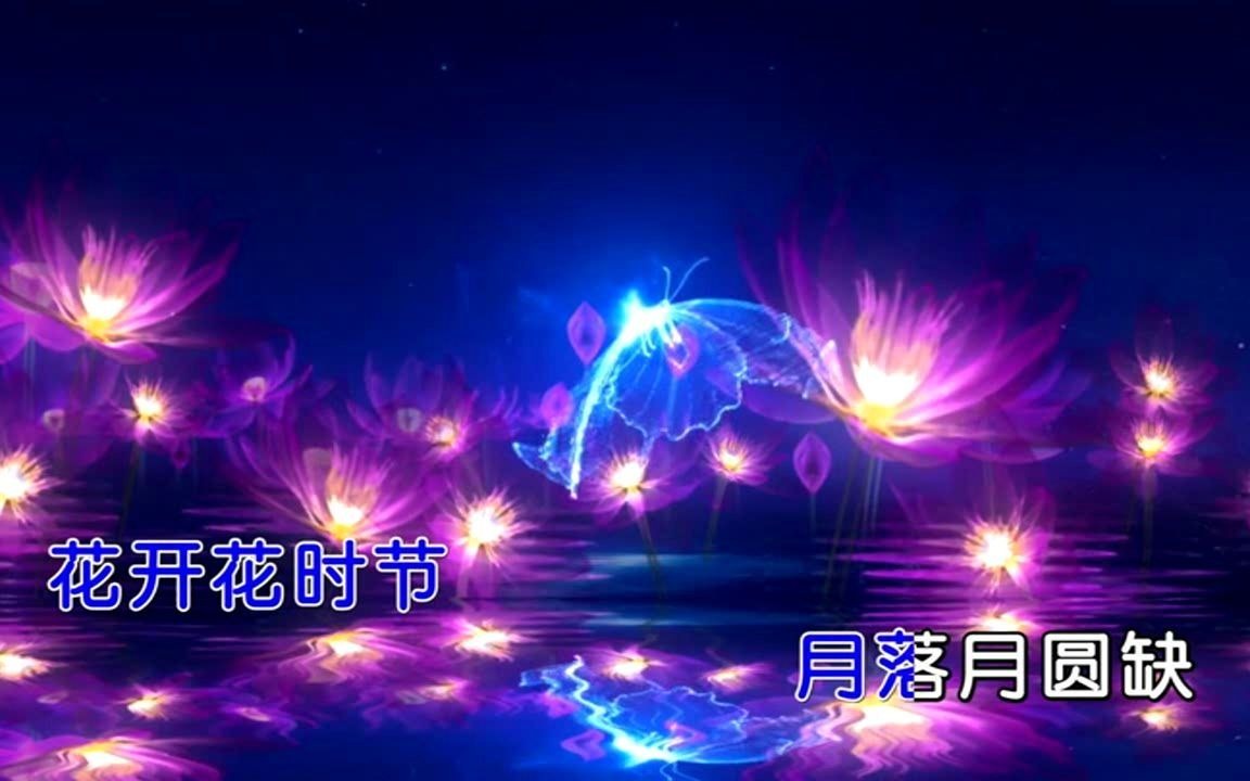 [图]孙艺琪《酒醉的蝴蝶》(女生版)MTV-国语KTV完整版