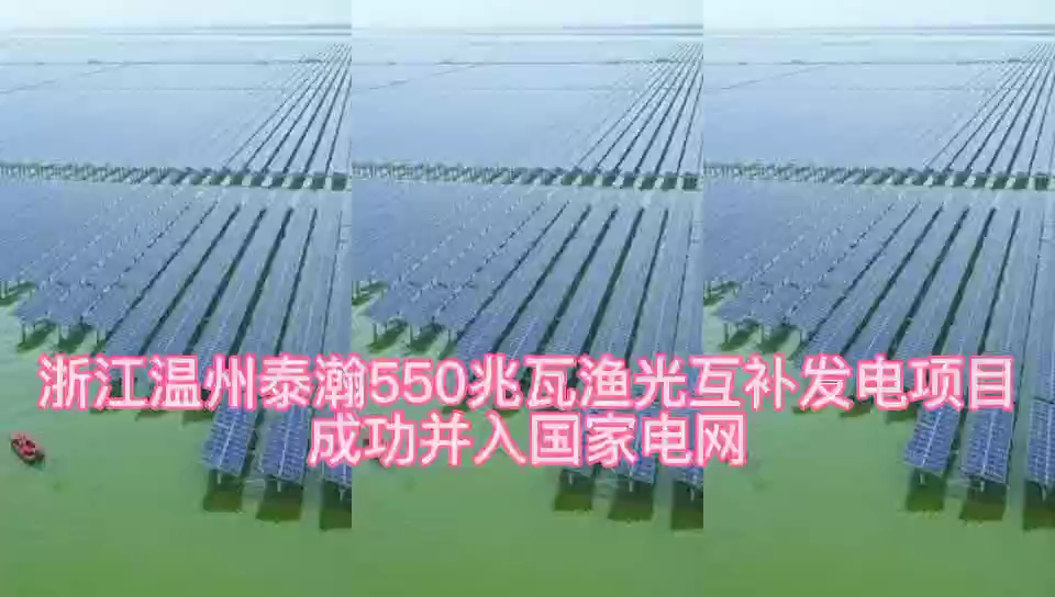 12月16日,浙江温州泰瀚550兆瓦渔光互补发电项目成功并入国家电网,清洁发电量全额消纳.哔哩哔哩bilibili