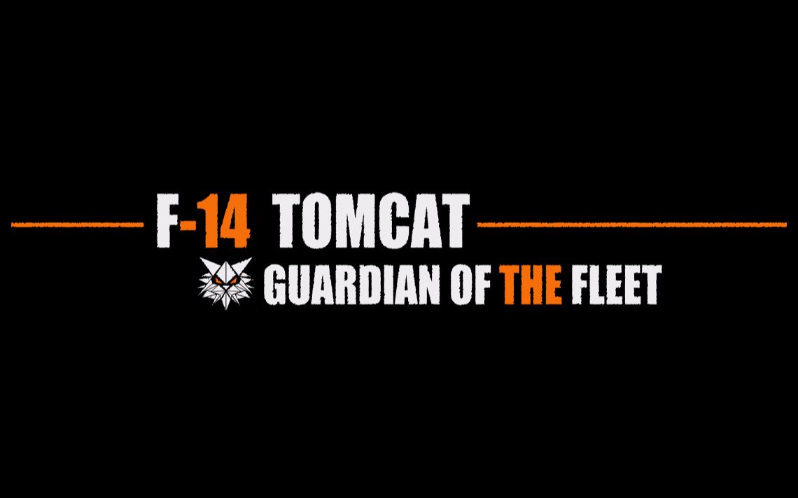 [图]DCS F14原创大猫MV———舰队守护者 Guardian of the Fleet