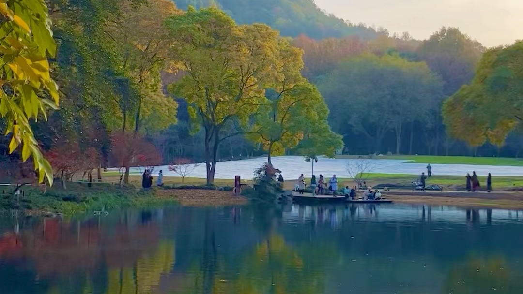 秋天的西湖太美啦!