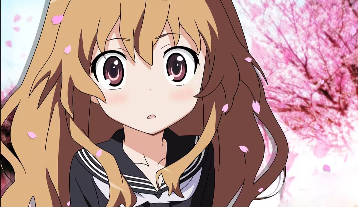 【龙与虎/mad】遇见你,我才懂得,原来青春可以如此美好.