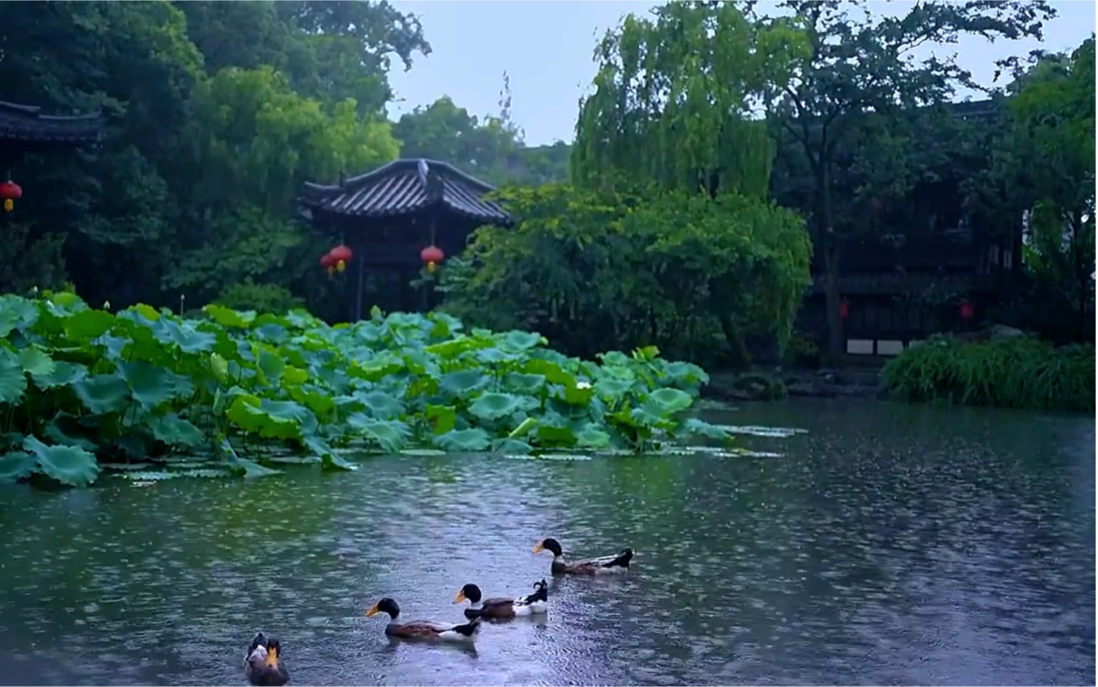 古琴曲《半山听雨》,意境深远,静心安神哔哩哔哩bilibili