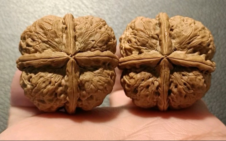 文玩核桃 炸药包一样的大粗筋,龙玺四棱,36mm,粗筋平底坐的稳