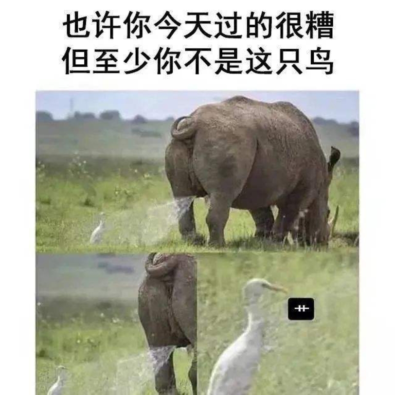 [图]《人间真实沙雕meme梗图》3