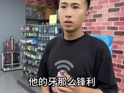 Download Video: 据说食人鱼的牙齿很厉害 我去看看怎么回事儿