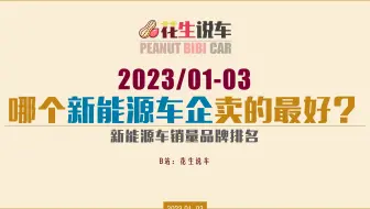 【花生说车】2023年1季度，哪个新能源车企卖的最好？