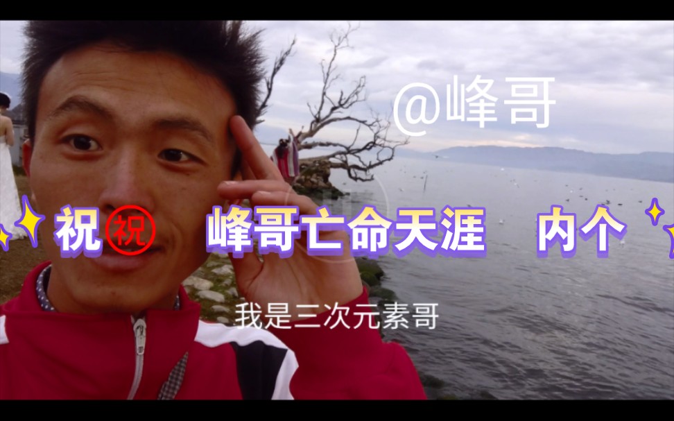 祝9015峰哥亡命天涯 那个